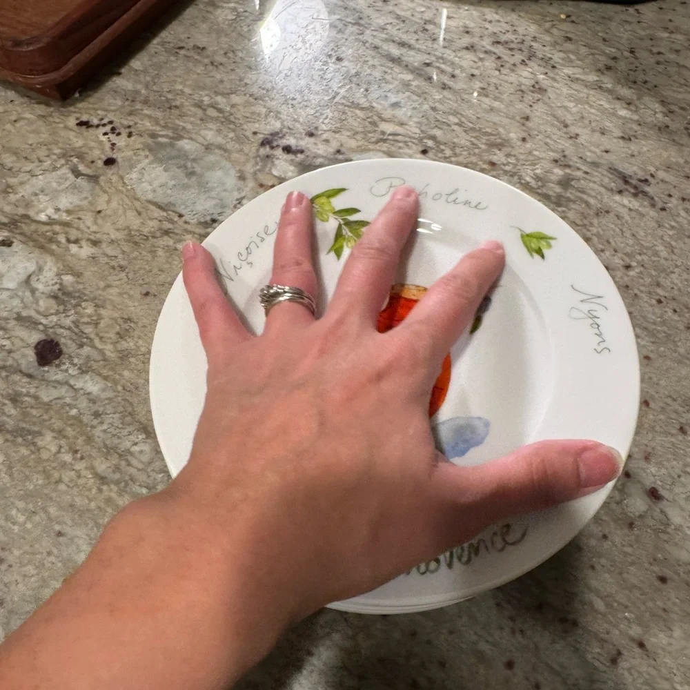 Crate&Barrel “Les Olives de Provence ” Appetizer Plate set